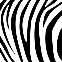 Tiger Stripes Clipart (99+ images in Collection) Page 3.