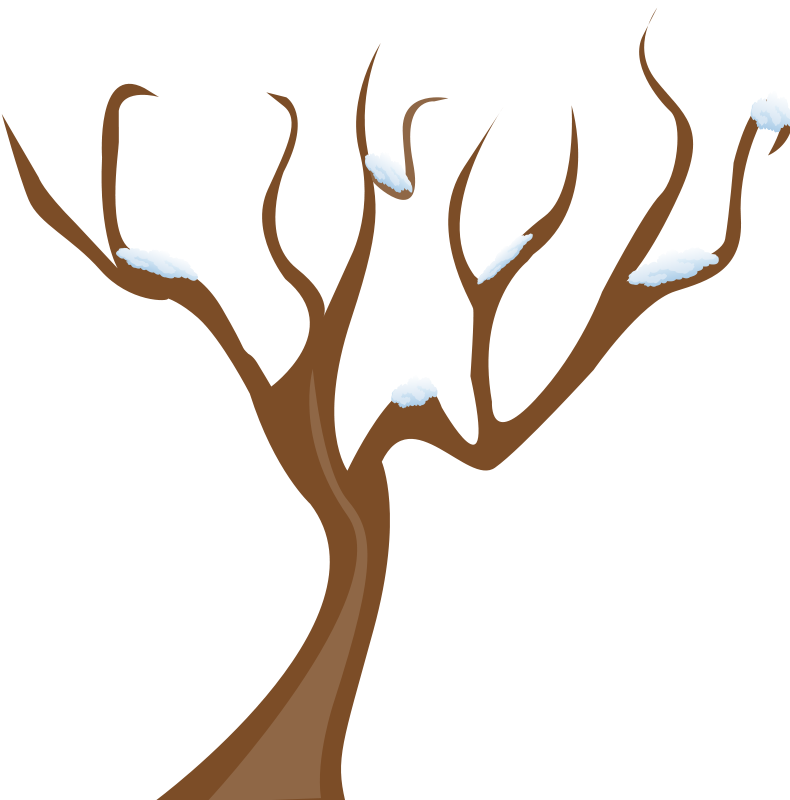 Free Picture Of A Tree Branch, Download Free Clip Art, Free.