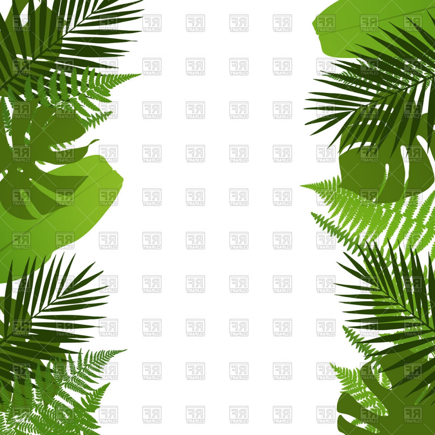 Exclusive Tropical Leaves Background Palm Tree Fern Monstera And.