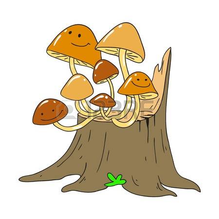 Tree Fungus Stock Photos Images. Royalty Free Tree Fungus Images.