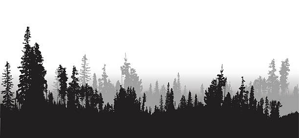 Treeline Clip Art, Vector Images & Illustrations.