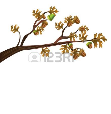 8,273 Tree Nuts Cliparts, Stock Vector And Royalty Free Tree Nuts.