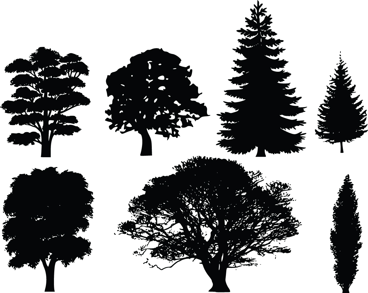 Black and white tree silhouette clipart.