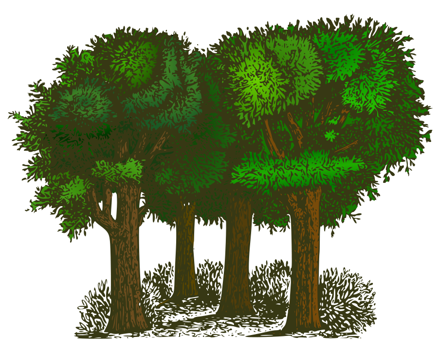 Clip Art Trees & Clip Art Trees Clip Art Images.