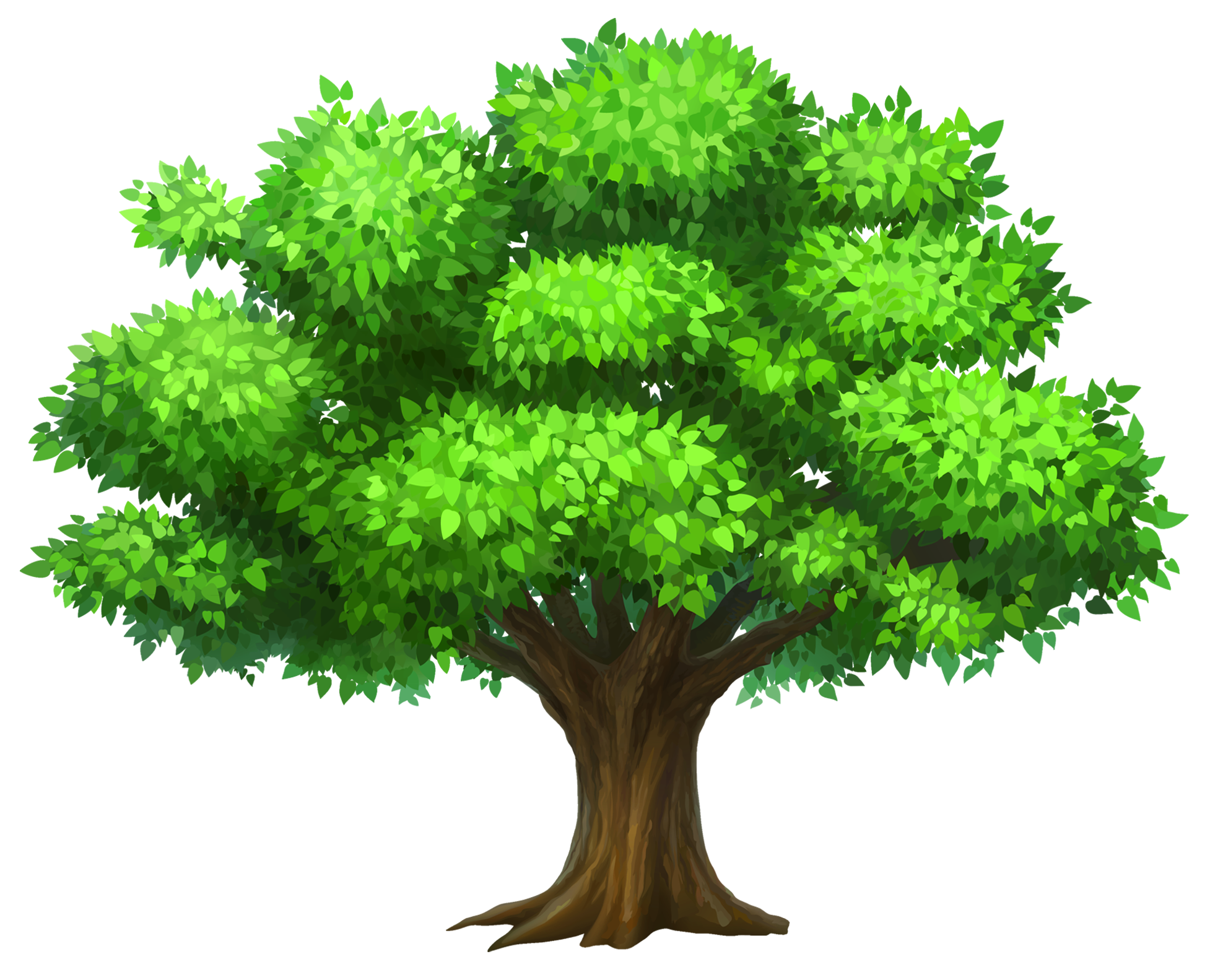 High resolution oak tree clipart.