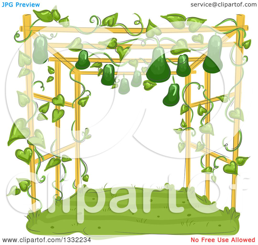 Showing post & media for Cartoon trellis clipart.