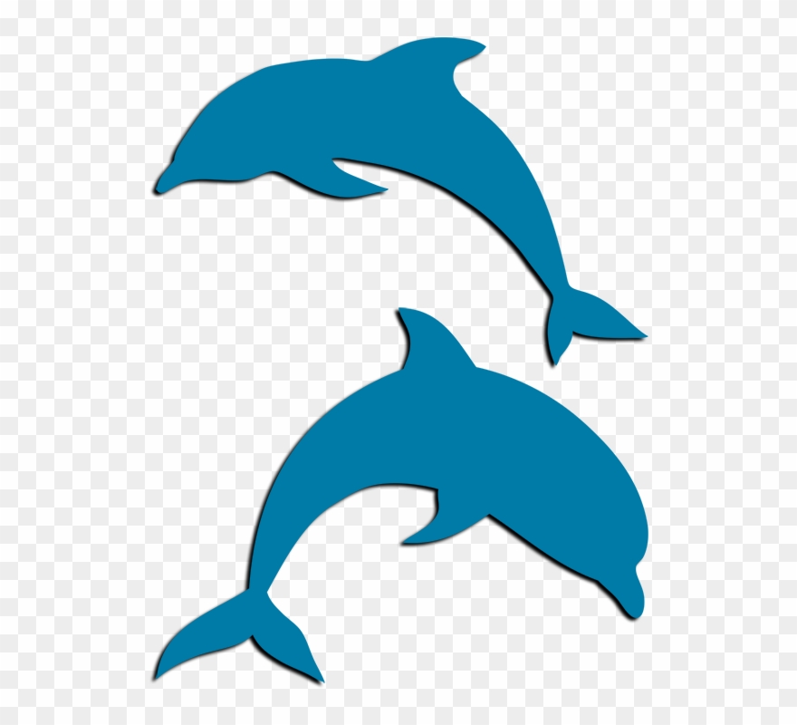 Tri Delta Dolphin Png Clipart (#4906657).