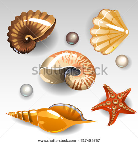 Triton Snail Stock Photos, Royalty.