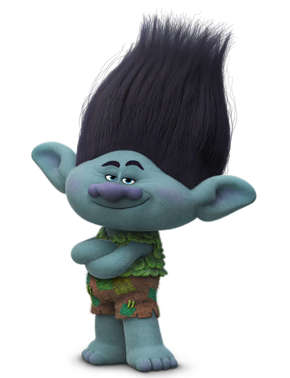 Trolls Branch Transparent PNG Image.