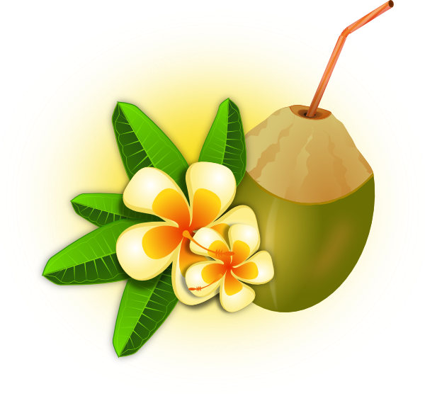 Tropical Flower With Coconut Drink Clip Art at Clker.com.