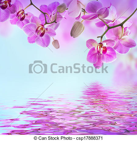 Stock Illustrations of Floral background of tropical orchids.