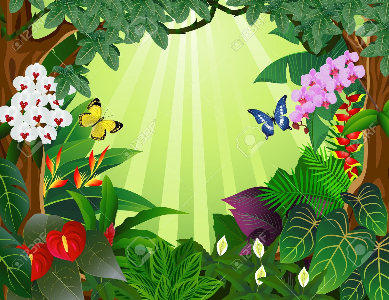 Rainforest Clipart & Rainforest Clip Art Images.