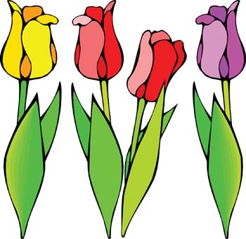 Tulip Clipart.