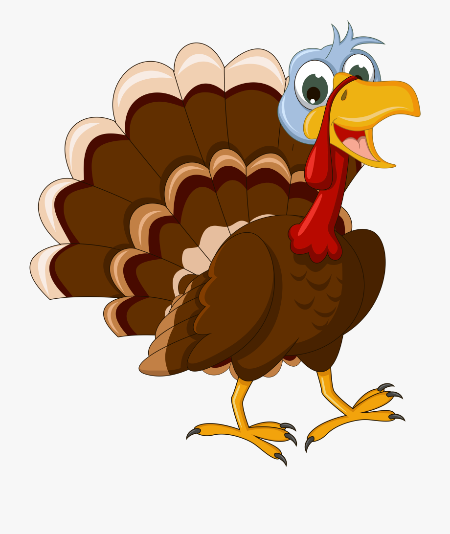 Turkey Clip Art Turkey Clipart Fans Png.