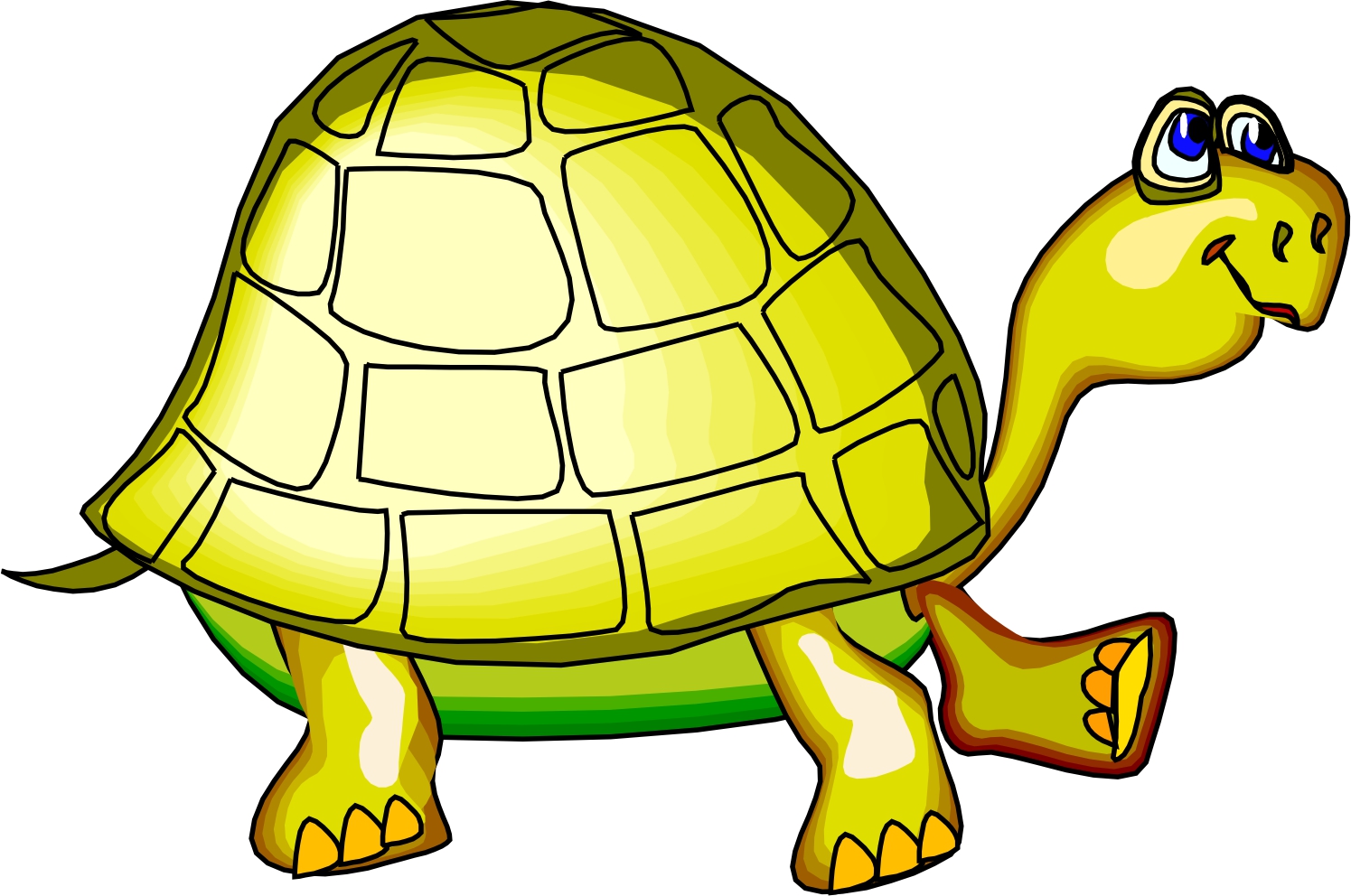 Free Turtle Images Cartoon, Download Free Clip Art, Free.