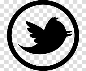 Twitter , black Twitter logo transparent background PNG.