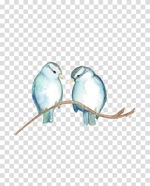 Two gray birds perching on branch illustration, Bird.