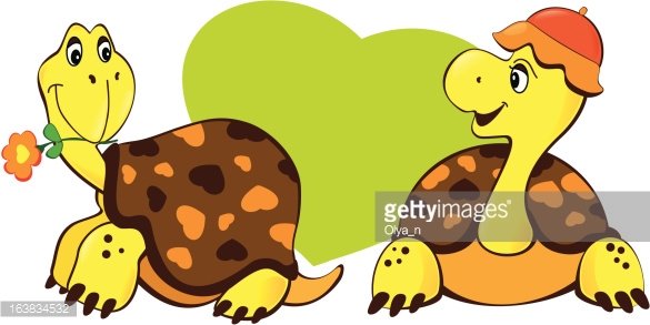 Two Turtles premium clipart.