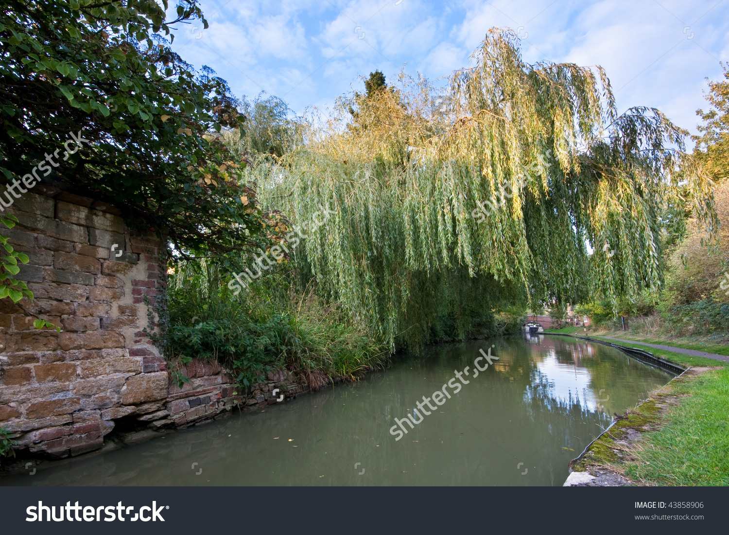 The Grand Union Canal Passes Under A Weeping Willow Tree On.