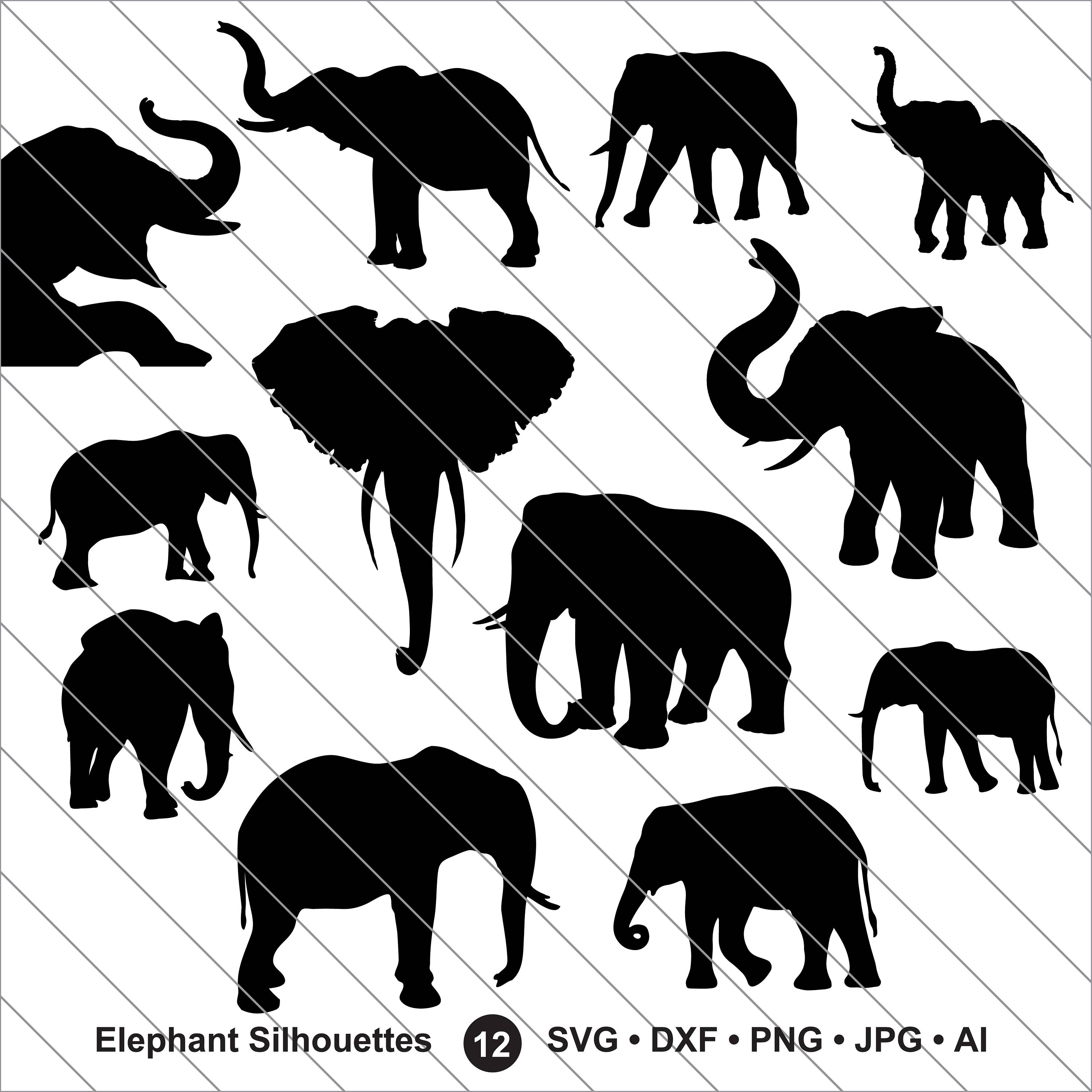 Elephant Silhouettes SVG, elephant clipart, elephant svg Cut File.