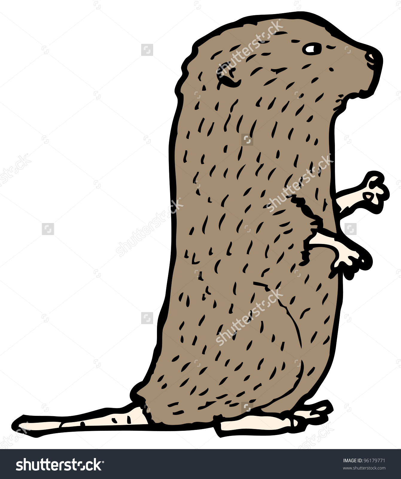 Water Vole Cartoon Stock Illustration 96179771.