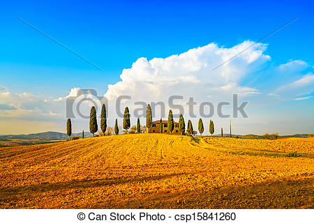 Stock Image of Tuscany, farmland and cypress trees and white road.