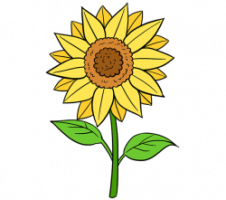 Painting clipart sunflower van gogh, Picture #1813562.