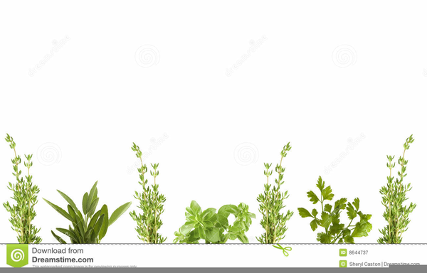 Free Vegetable Clipart Borders.