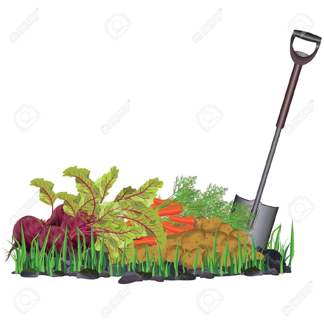 Vegetable gardening clipart.