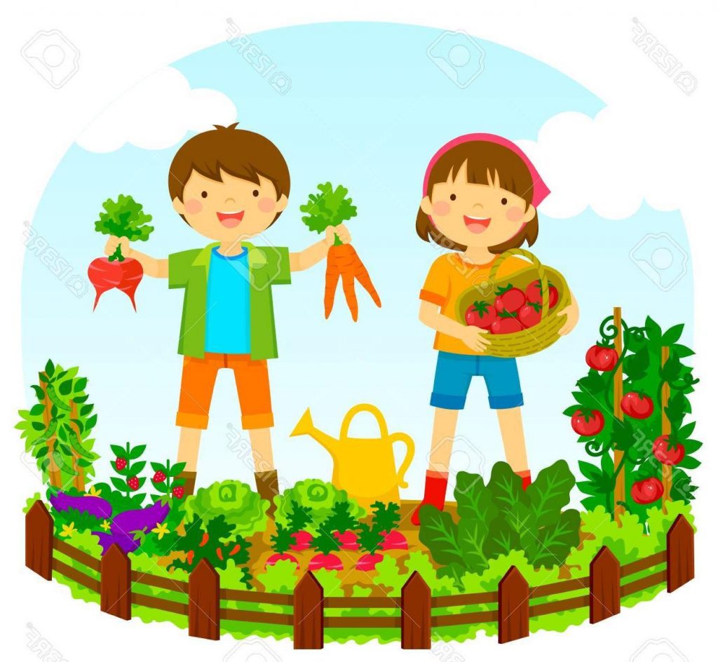 814 Vegetable Garden free clipart.