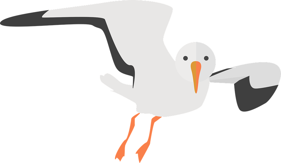 Flying Gull Victor Clipart PNG Image #16.