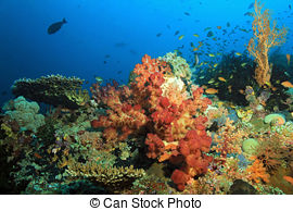 Stock Photo of Raja Ampat.