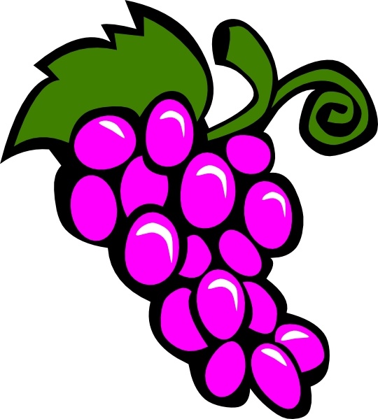 Grapes Vine clip art Free vector in Open office drawing svg.