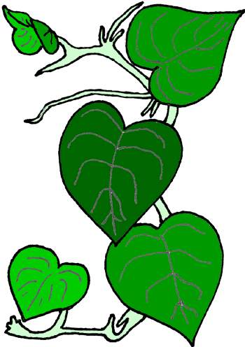 Green Vines Clip Art.