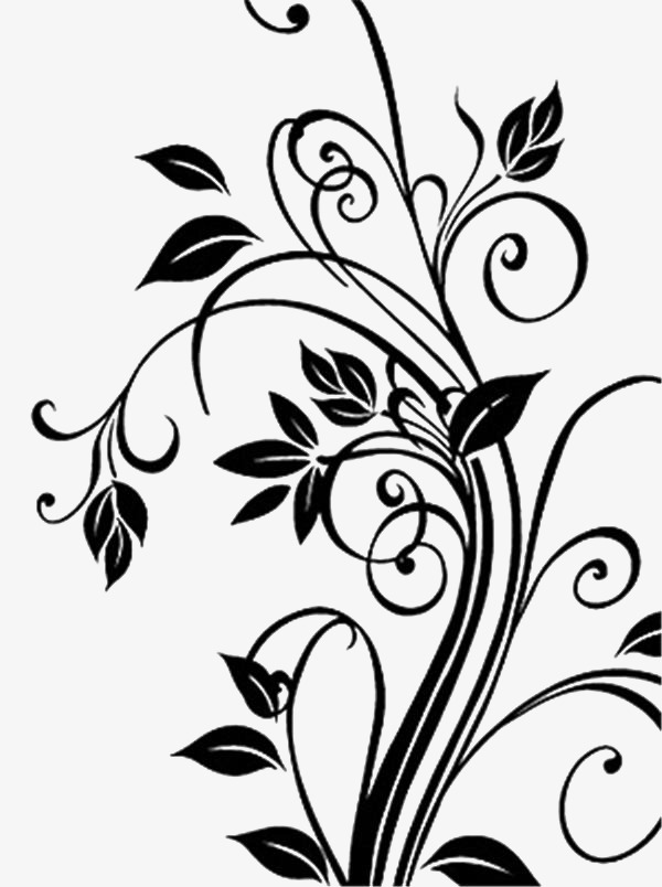 Free Vine Black And White Png & Free Vine Black And White.