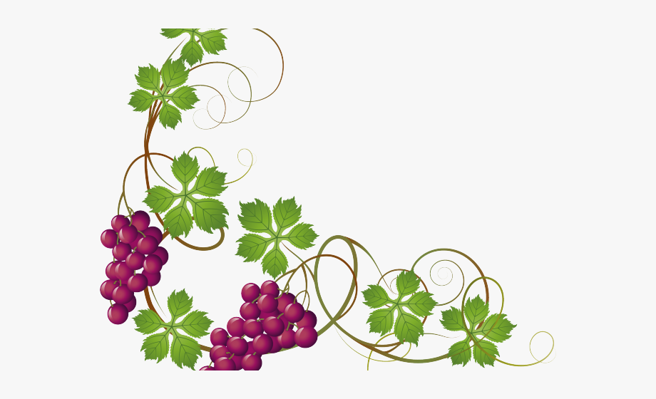 Vineyard Clipart Grape Leave.