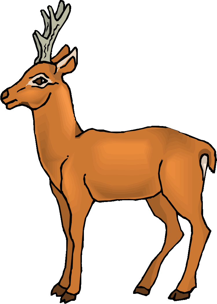 Deer Clipart.