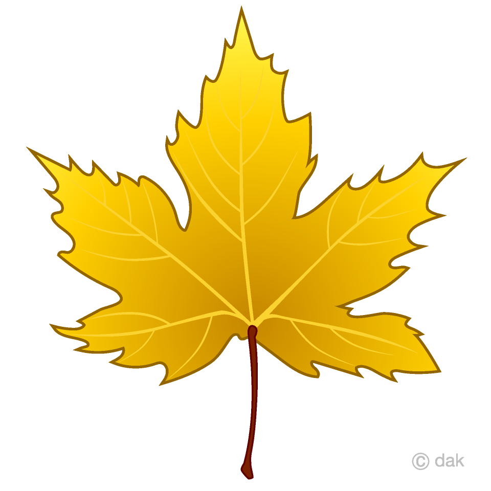 Free Yellow Maple Leaf Clipart Image｜Illustoon.