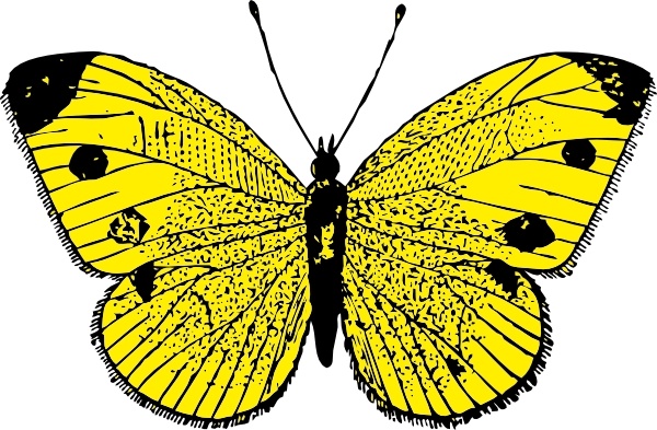 Yellow Butterfly clip art Free vector in Open office drawing svg.