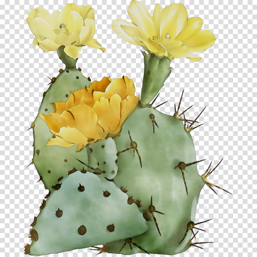 Cactus Cartoon clipart.