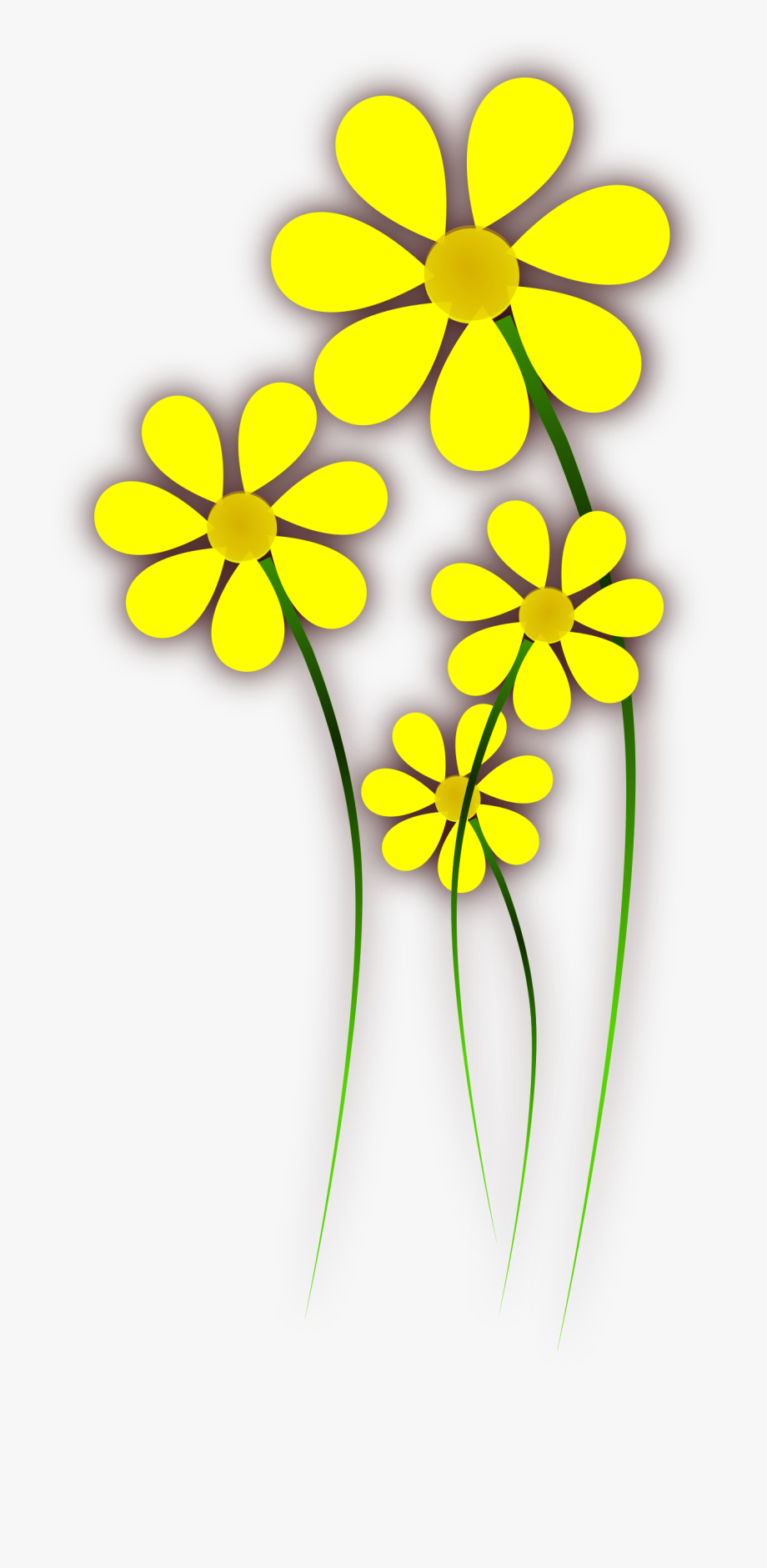 Daisies Big Image Png.