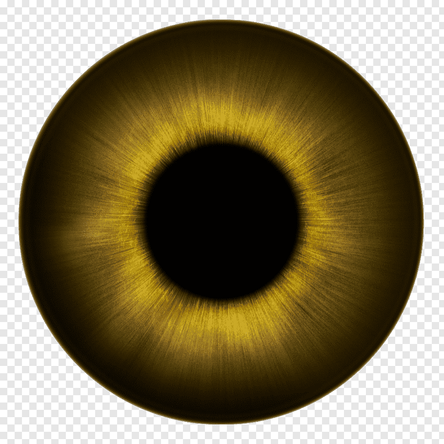 Eyeball, Human eye Iris Texture Eye color, eyes free png.