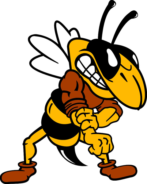 145 Yellow Jacket free clipart.