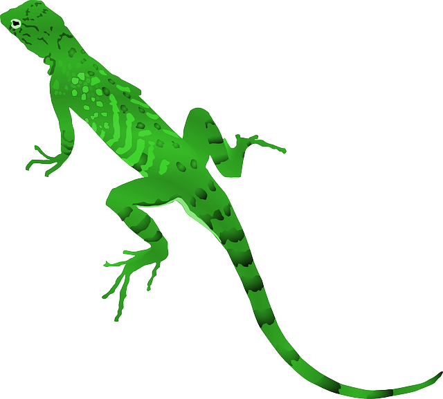 Hole clipart yellow spotted lizard, Picture #1345454 hole.