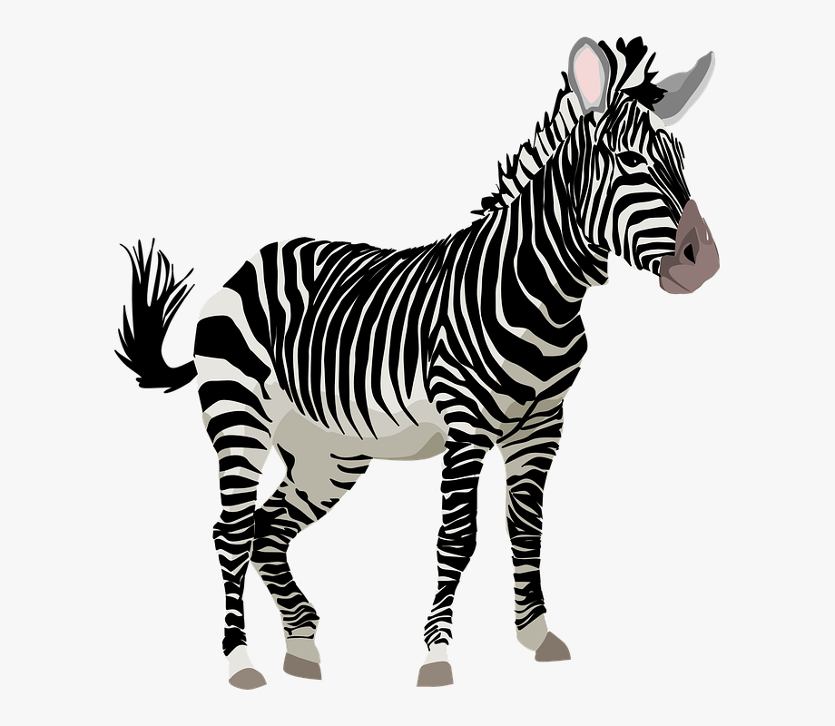 Cute Zebra Clipart Free Clipart Images.