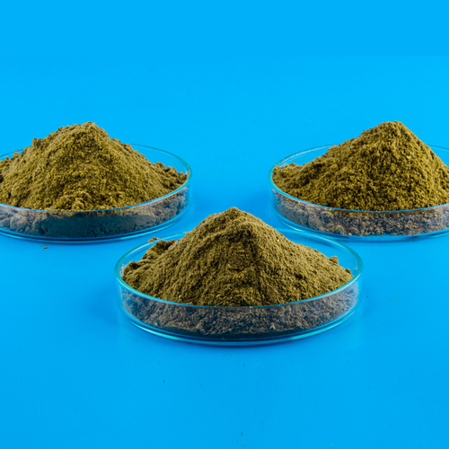 Steam Dried Fish Meal