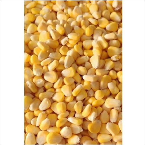 Organic Frozen Sweet Corn