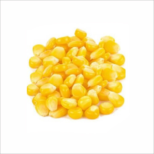 Common Sweet Corn Seeds