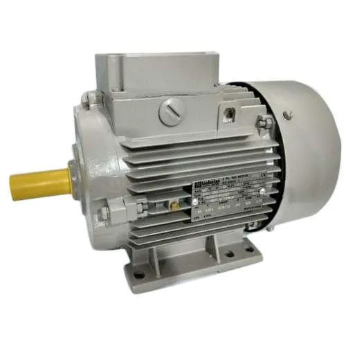 Grey Three Phase Electric Ac Motor