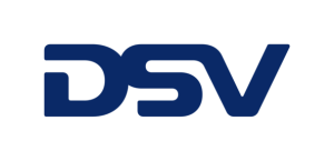 dsv logo